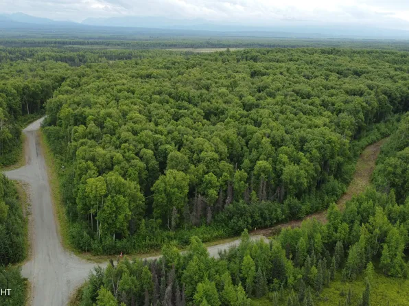 506 S Mount Iron St, Willow, AK 99688