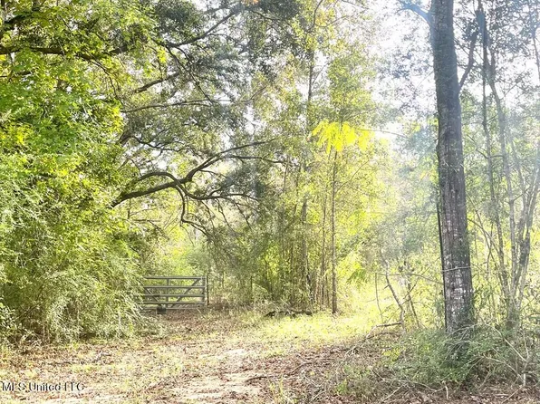 67A Mars Island Rd, Picayune, MS 39466