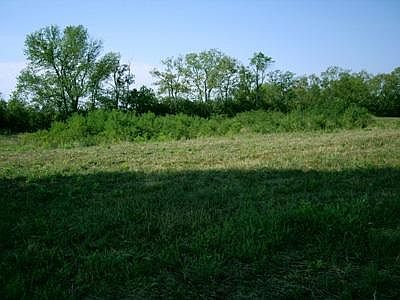 5th image of 310 Chrisman Oaks Trl