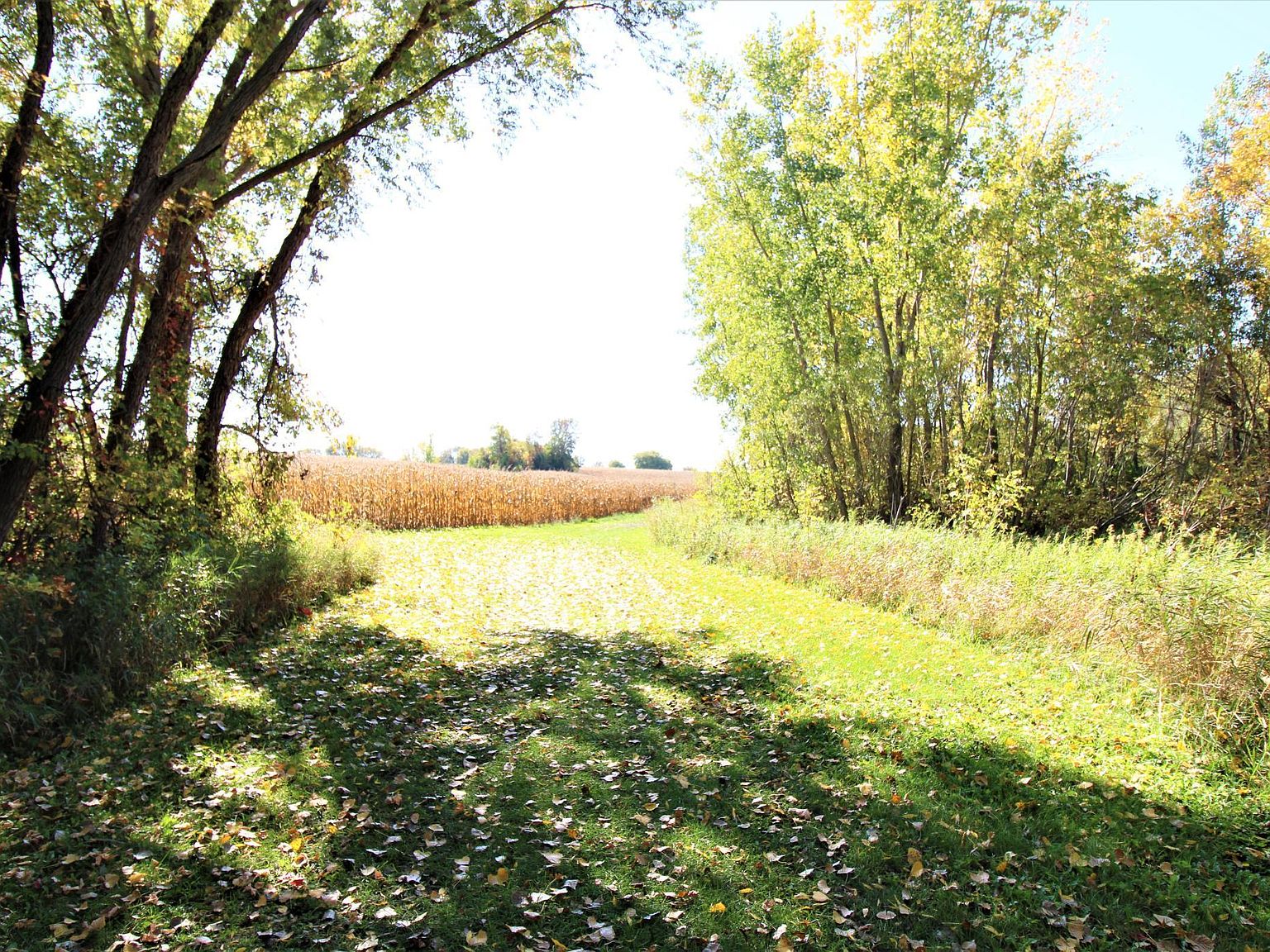 Lake Homes For Sale On Eagle Lake Willmar Mn at Steven Roque blog