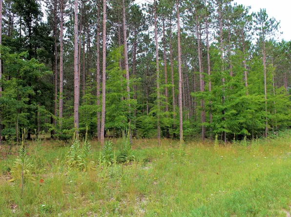 0 Thiel Rd Lot A, Traverse City, MI 49685