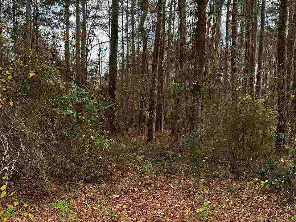 LOT 25 Wilson St, Society Hill, SC 29593 Zillow