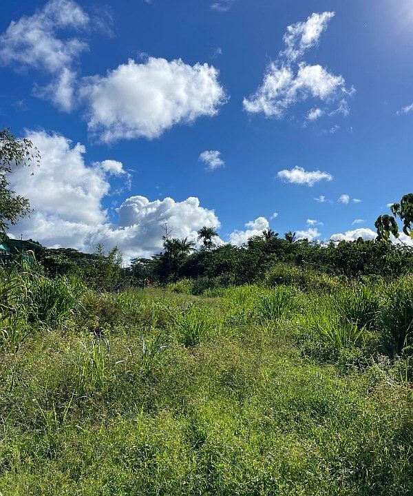 1st image of 23rd Avenue Naupaka Lot 1136