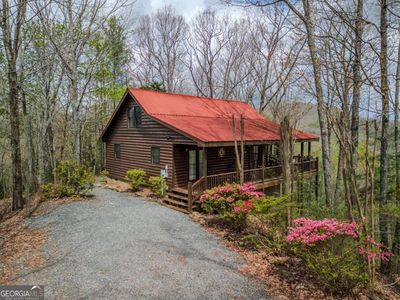 507 Bushy Head Rd, Cherry Log, GA, 30522