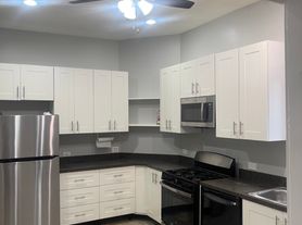 1507 S Homan Ave, Chicago, IL