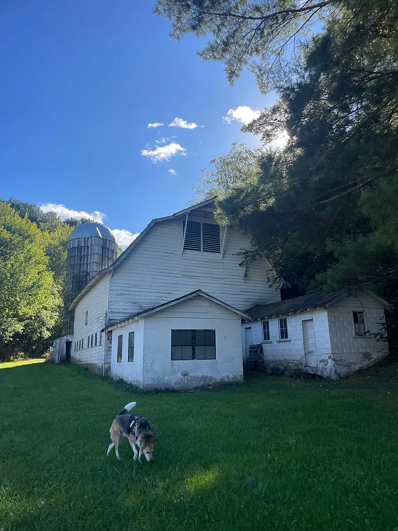 Blue Ridge Escape in Leicester Asheville — Photo 3