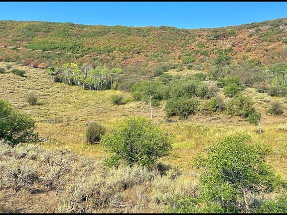 4th image of 30025 County Road 179