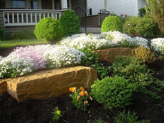 Terraced Front Garden