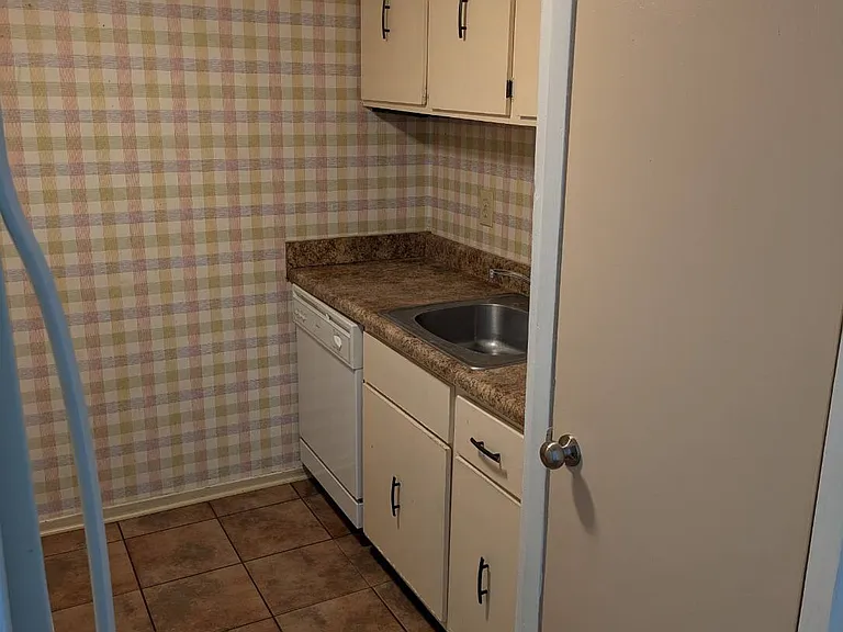 Kitchen sink and dishwasher alongside kitchen closet. Some kitchens have wallpaper as this one does.