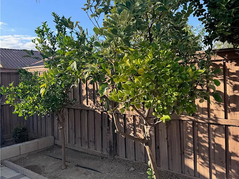 32615 San Nicholas — Photo 38