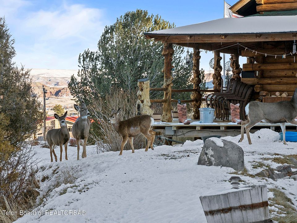 65 Bald Mountain Rd, Dubois, WY 82513 Zillow