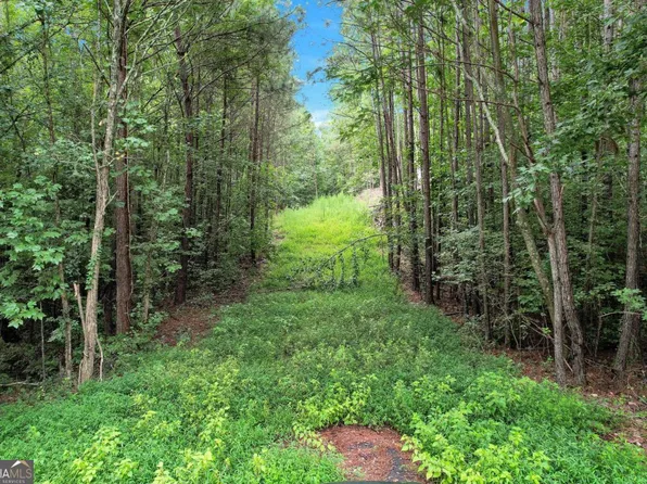 5287 W Yeager Rd, Douglasville, GA 30135