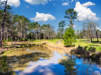 9191 Amelia Dr, Anderson, TX, 77830