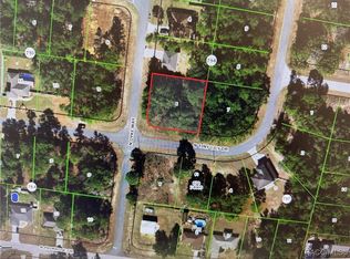 7968 N Tiny Lily Dr, Citrus Springs, FL 34434
