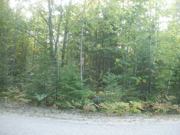 4648 Chickadee Rd, Cheboygan, MI 49721