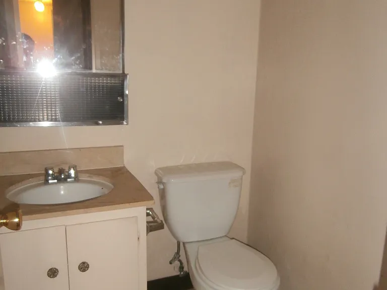 239 Sunnyhills Dr — Photo 8