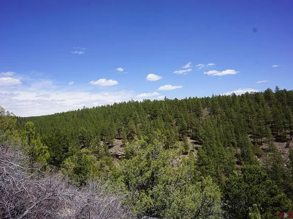 3 TBD Road 36.5, Mancos, CO 81328