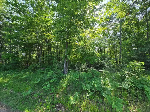 Lot 2 & 3 N Nelson Street, Grantsburg, WI 54840