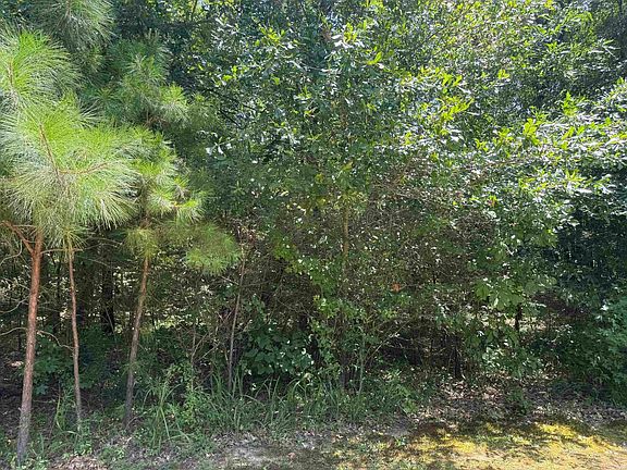 2nd image of Snider Rd