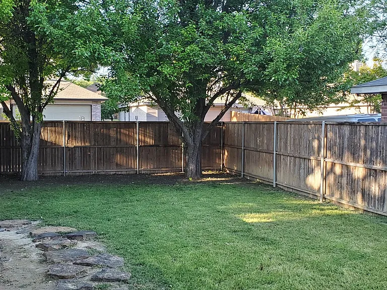 Open spacious backyard