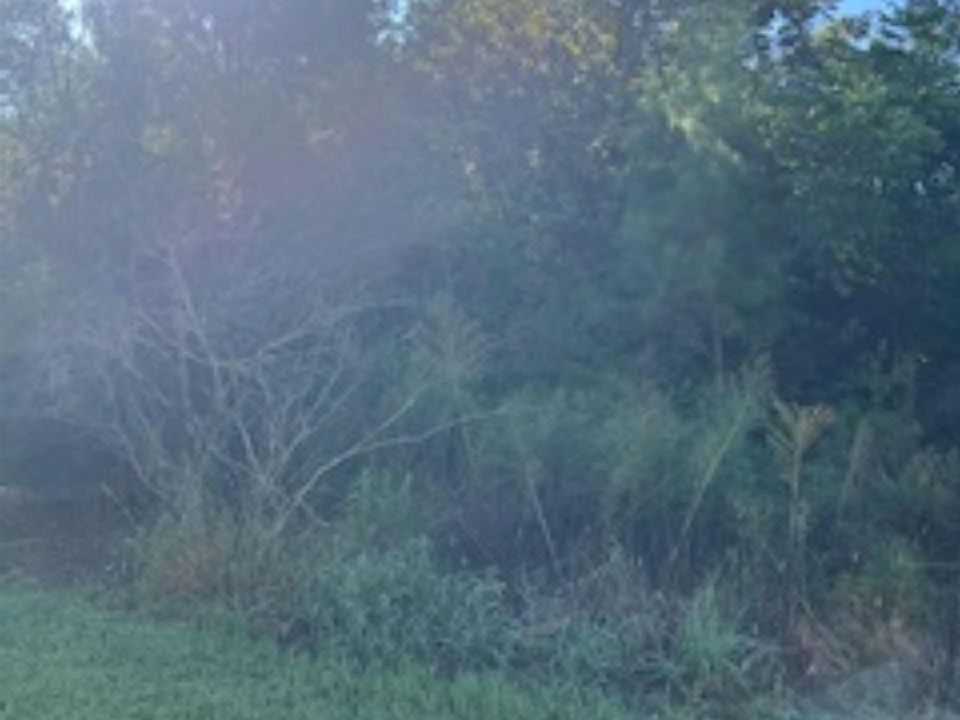 2nd image of Hill Rd