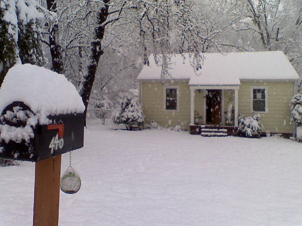 Snowy beauty