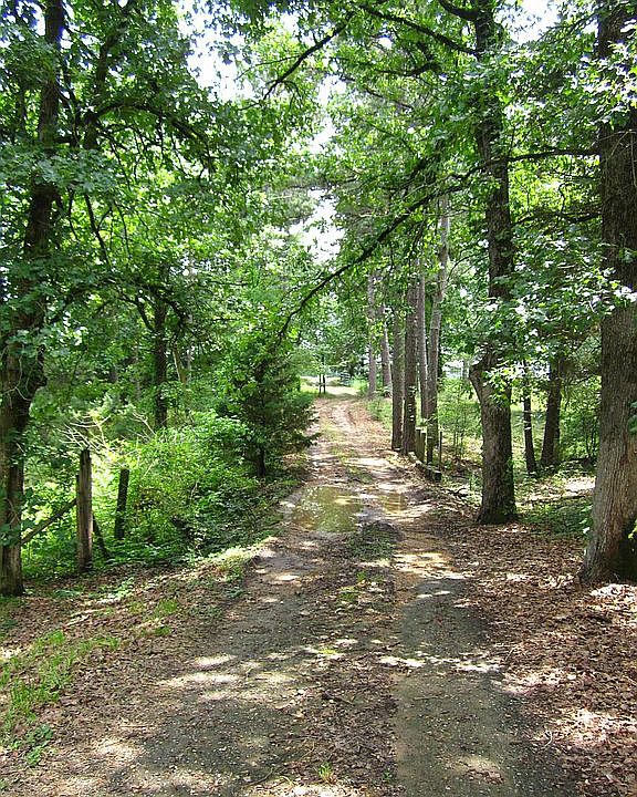 Long driveway