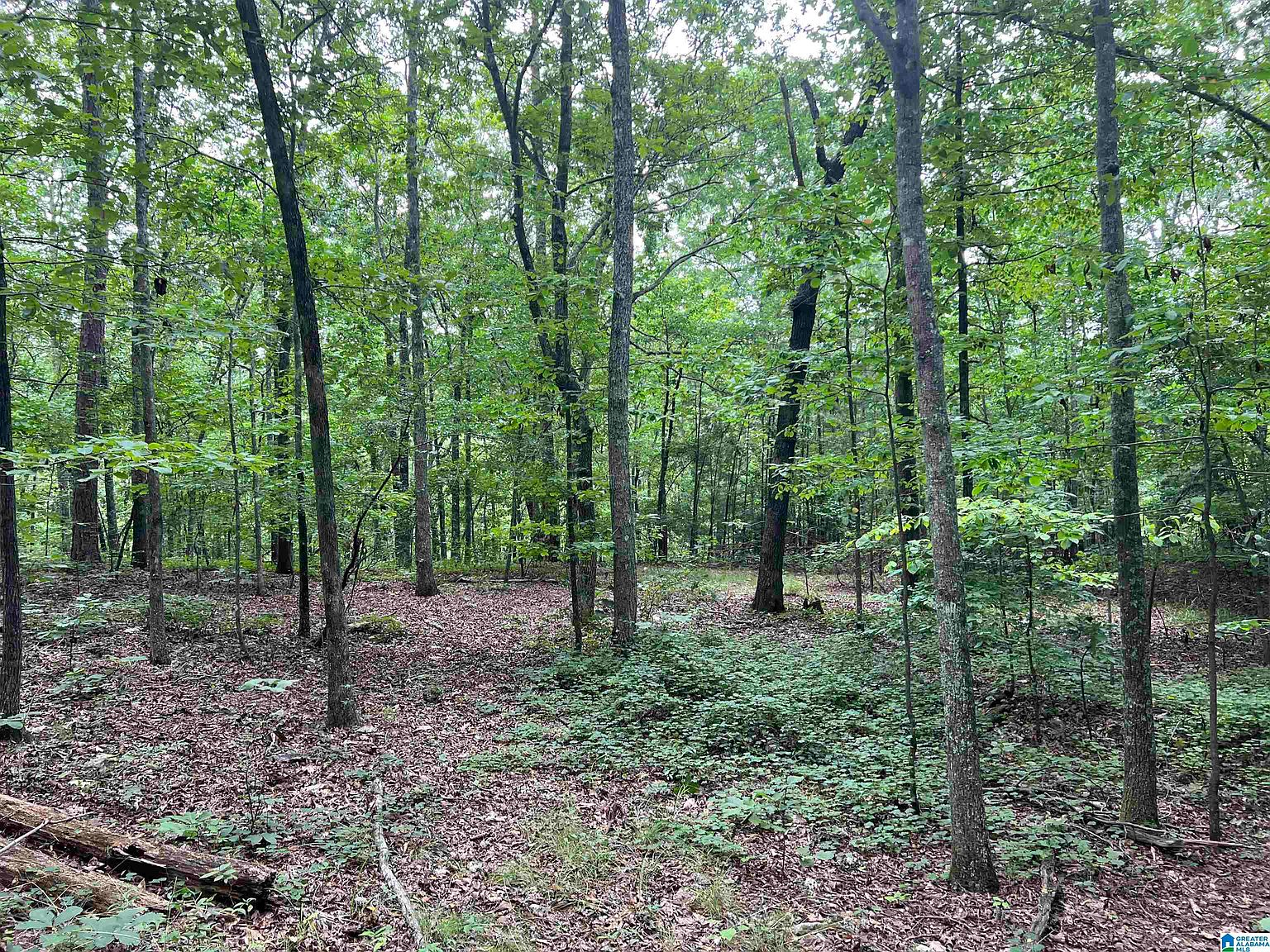 Old Highway 9, Anniston, AL 36207 Zillow