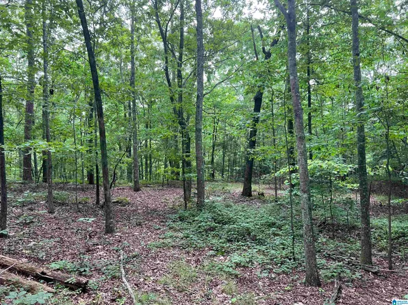 Old Highway 9, Anniston, AL 36207