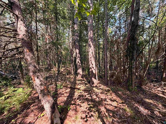 4th image of 209XX US Highway 2