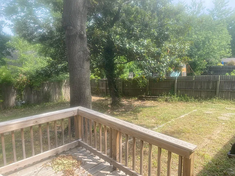 Backyard