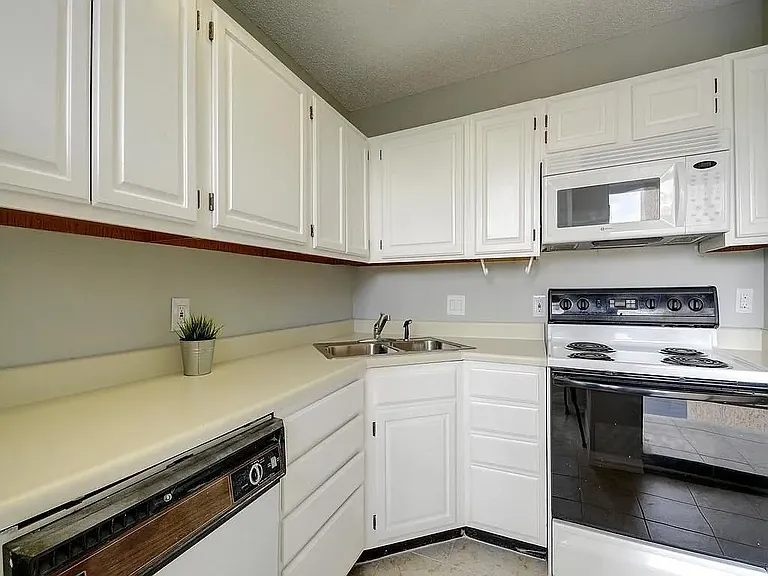 2409 Leon St #207 — Photo 5