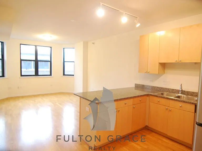 1464 S Michigan Ave #2306 — Photo 9