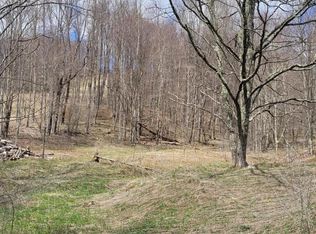 Dry Branch Rd, Valley Head, WV 26294