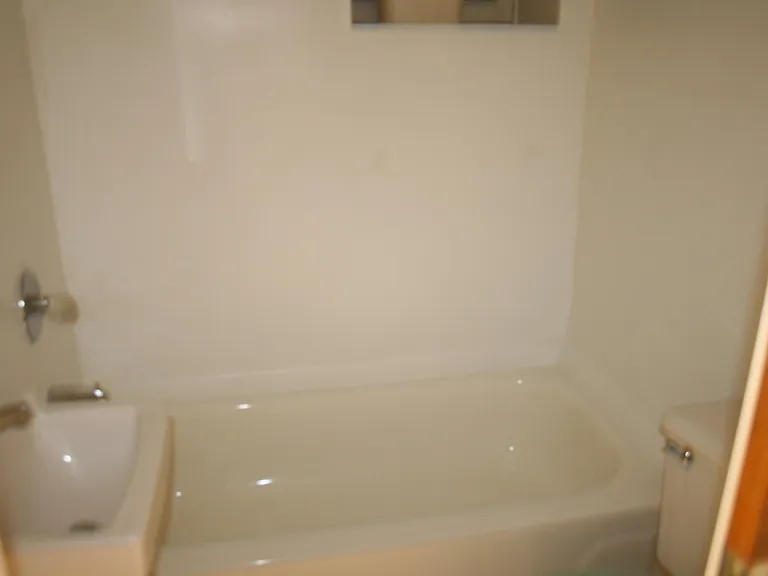 229 S Plymouth Ave — Photo 6