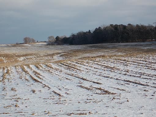 3rd image of 83751 Highway 121