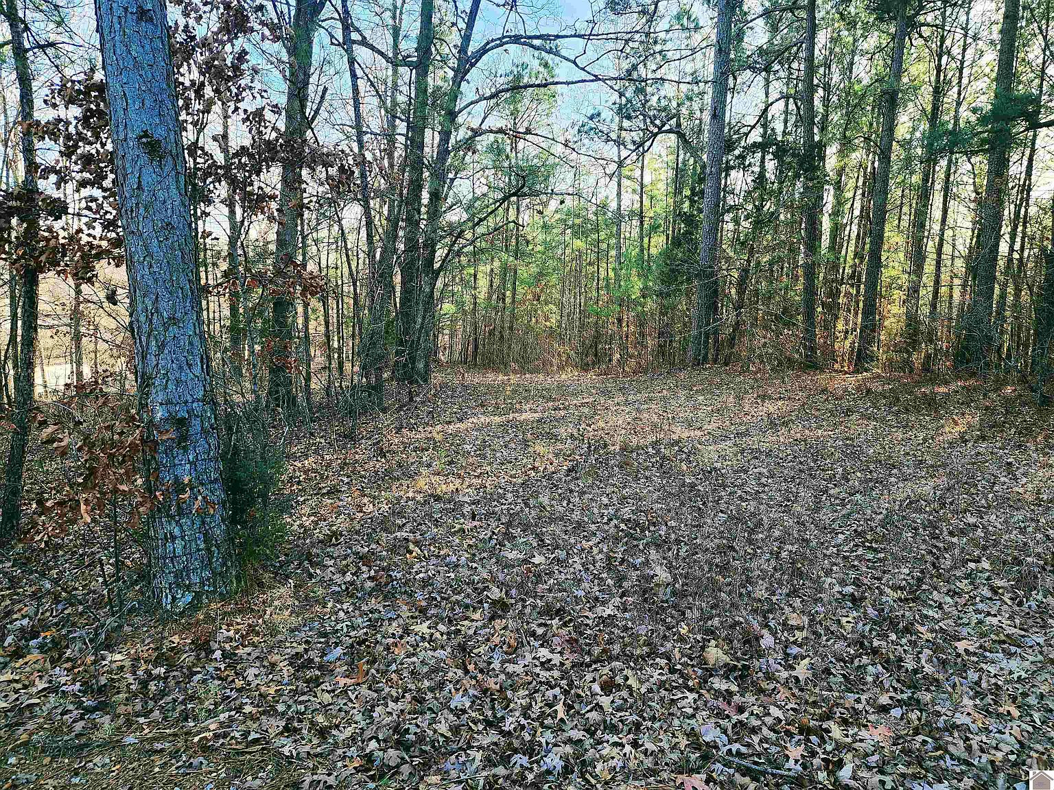 46 Pirates Cove Rd, Hardin, KY 42048 Zillow