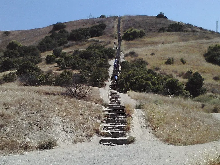3477 Carmona Ave — Photo 20