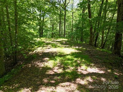 0 Elkhorn Ridge Dr #46, Franklin, NC, 28734