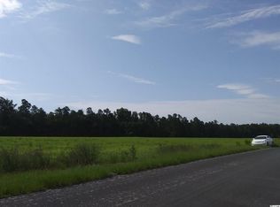 0 Pee Dee Rd N TRACT A, Nichols, SC 29581