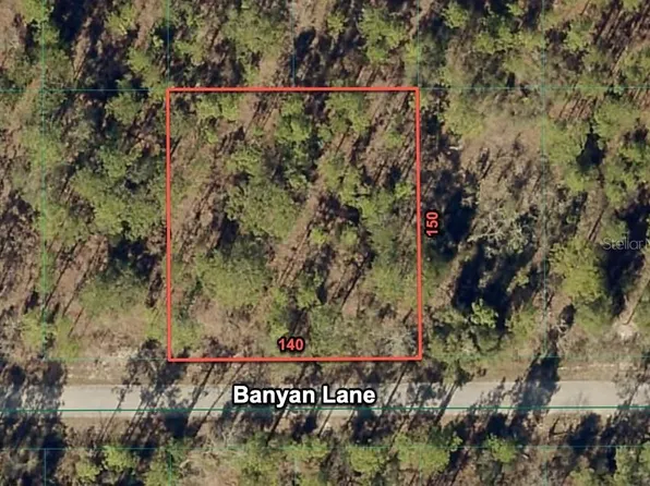 24309 NW Banyan Ln Lot 57, Dunnellon, FL 34431