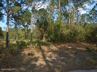 1029 Hammacher Ave SW, Palm Bay, FL 32908