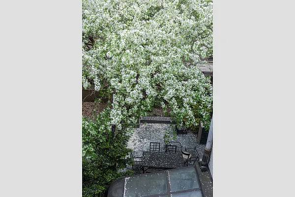 Sold by Stribling | media 20