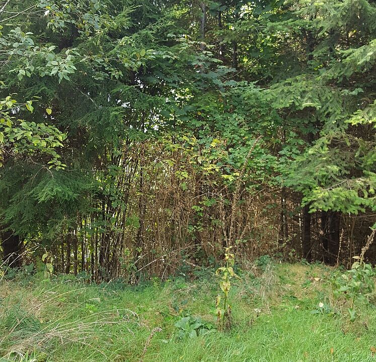 2nd image of 76 Cottardi Heights Rd