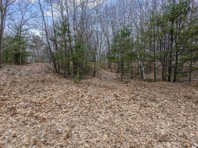 N White Potato Lake Rd #1, Pound, WI, 54161