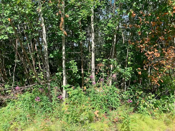 611 E 3rd St, Nenana, AK 99760