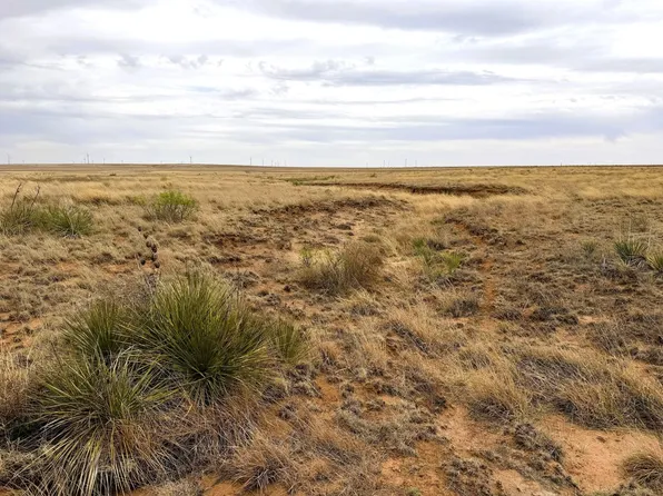 0 County Road 41, Bledsoe, TX 79314