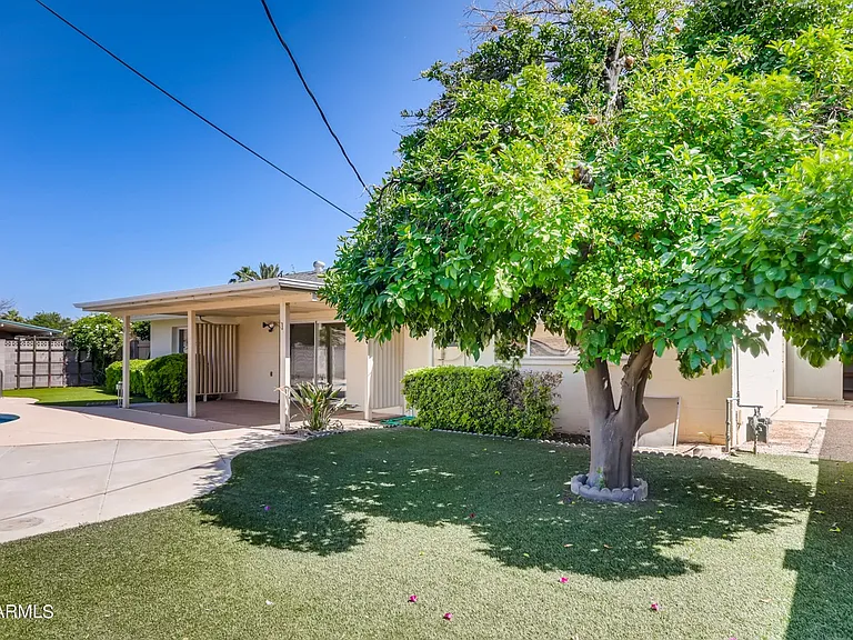 Lush yard with established over-abundant grapefruit tree (his name is Norman). Artificial grass & all plants on watering system mean low maintenance beauty.
