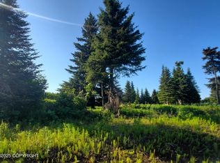 17619 Chefornak St, Ninilchik, AK 99639