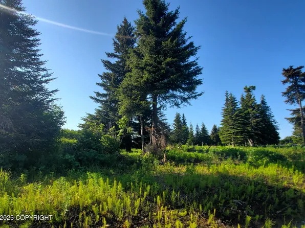 17619 Chefornak St, Ninilchik, AK 99639